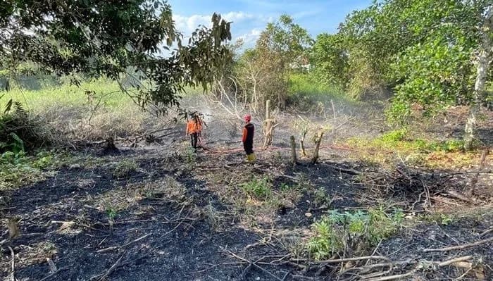 Lonjakan Akhir Juli, Empat Daerah di Kaltim Masuk Zona Rawan Karhutla
