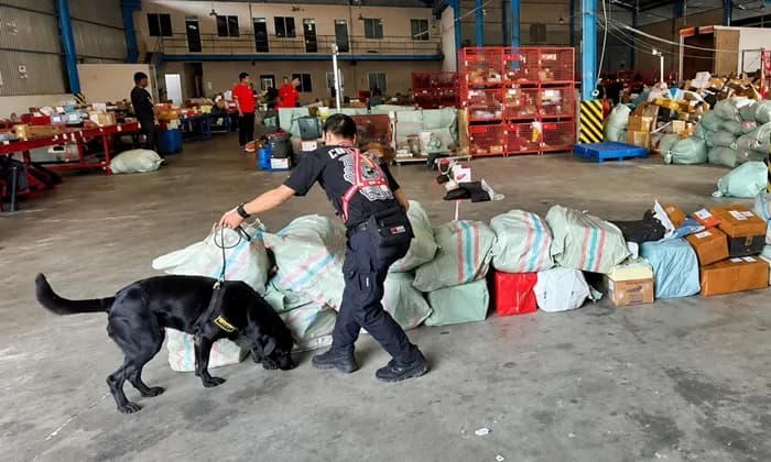 Deteksi Ganja Ekspedisi, Polda Kaltim Pertama Kali Terjunkan Pasukan K9