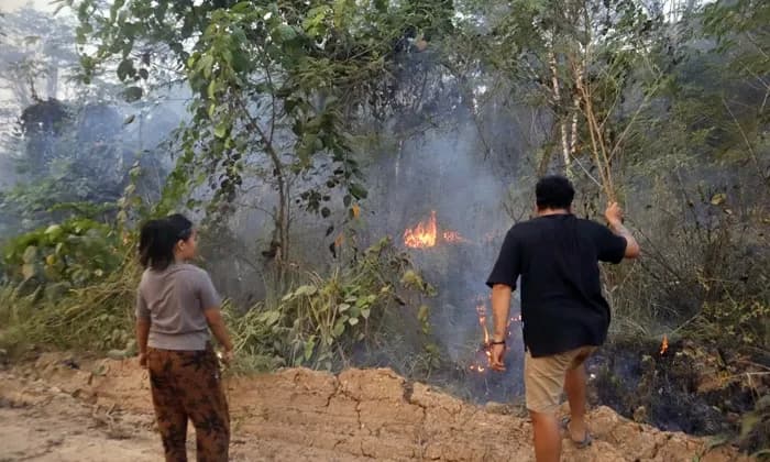 Warga Panik, Kebakaran Lahan Sangatta Dekati Permukiman