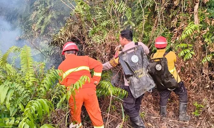 Karhutla di Kutai Timur Meluas hingga 29 Titik Panas