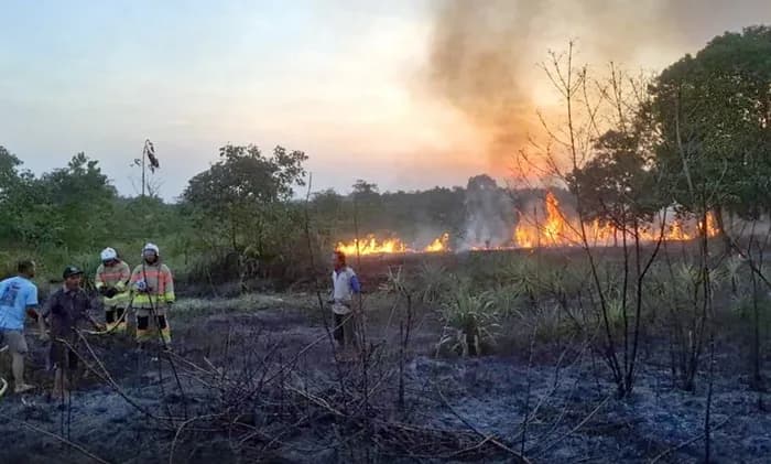 Kebakaran Lahan di Perumahan Korpri Bontang 2 Hari Beruntun