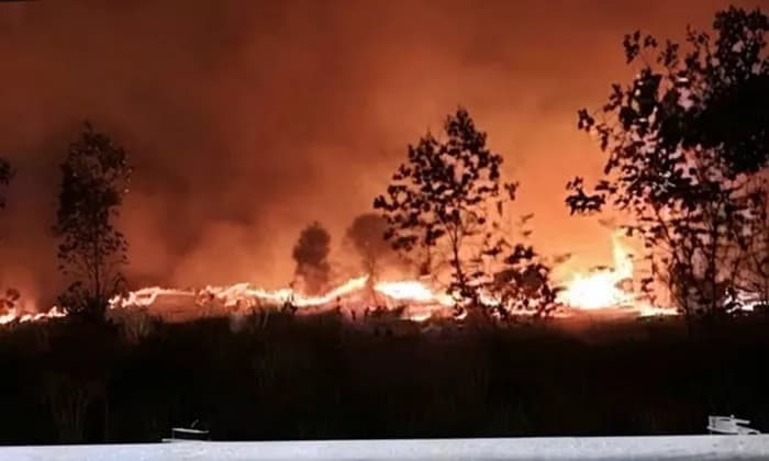 Kebakaran Hutan di Tol Balikpapan-Samarinda Hanguskan 3 Hektare Gambut