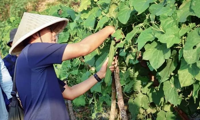 Program Semai Bumi Badak LNG Dorong Pertanian Bontang