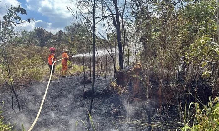 Karhutla Bontang Meningkat, 26 Kejadian Bakar 25 Hektare