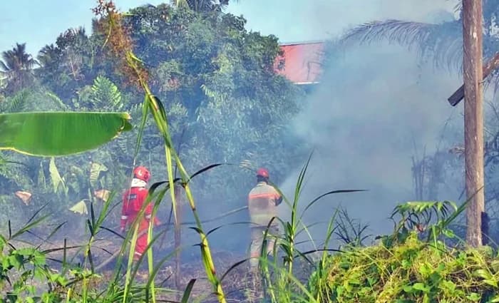 Api Nyaris Lahap Permukiman dan Gardu PLN di Bontang, Siapa Pembakarnya?