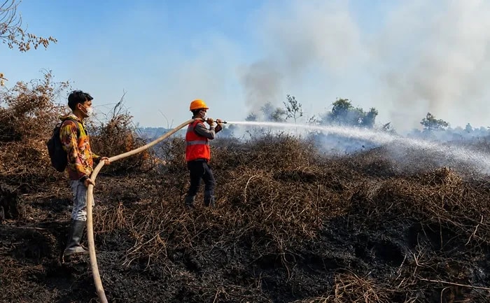 Api Melalap 2,5 Hektare Lahan Gambut di Muara Muntai Kukar