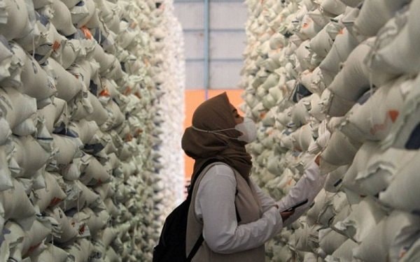 Stok Beras Kaltimtara Aman 8 Bulan, Bulog Waspadai Lonjakan Kebutuhan