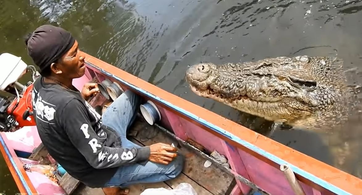 Kisah Pak Ambo, Warga Bontang Bersahabat dengan Buaya 'Riska' selama 12 Tahun