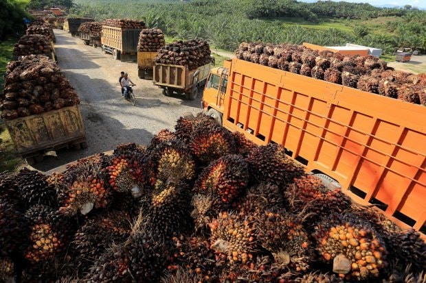Truk CPO Berpelat Luar Kaltim bakal Dirazia