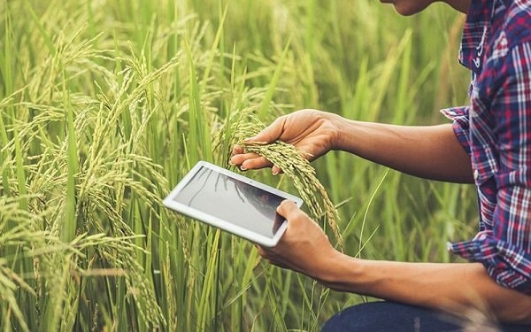 Petani Milenial Terbanyak di Kutai Kartanegara