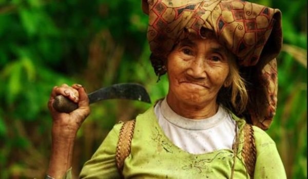 Mului, Pemburu-Peramu yang Tergerus Zaman di Hutan Kalimantan Timur