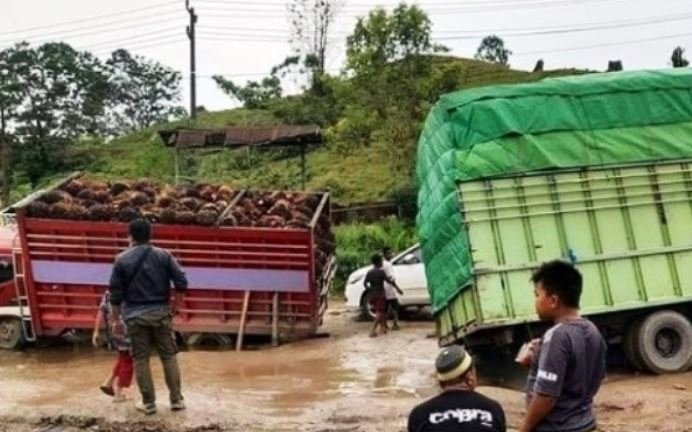 Mobil Tambang Rusak Jalan Kaltim, Gubernur Bisa Tertibkan?