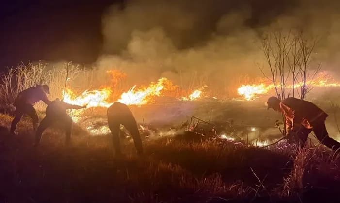 Karhutla Bromo Bakar 176,20 Hektare, Api Masih Dipadamkan