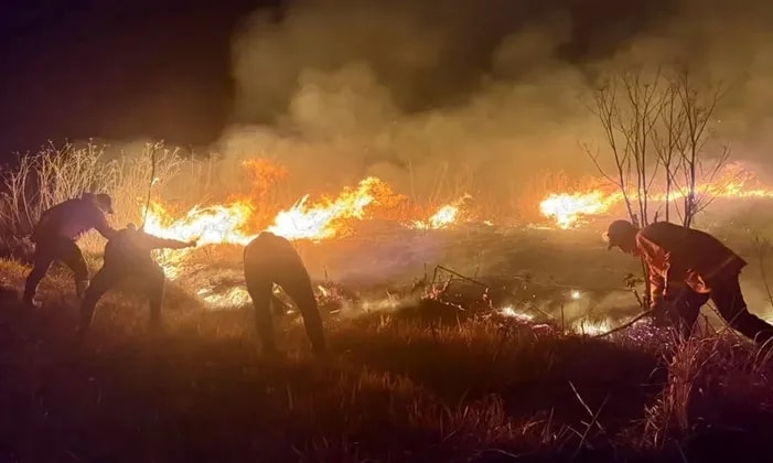 Karhutla Bromo Bakar 176,20 Hektare, Api Masih Dipadamkan
