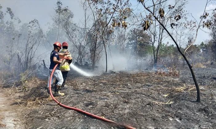 Kebakaran Lahan di Bontang Lestari Terjadi Tiga Kali Sehari