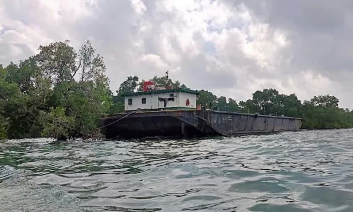 20 Hari Terdampar, Tongkang di Pulau Miang Kutim Dikhawatirkan Rusak Mangrove