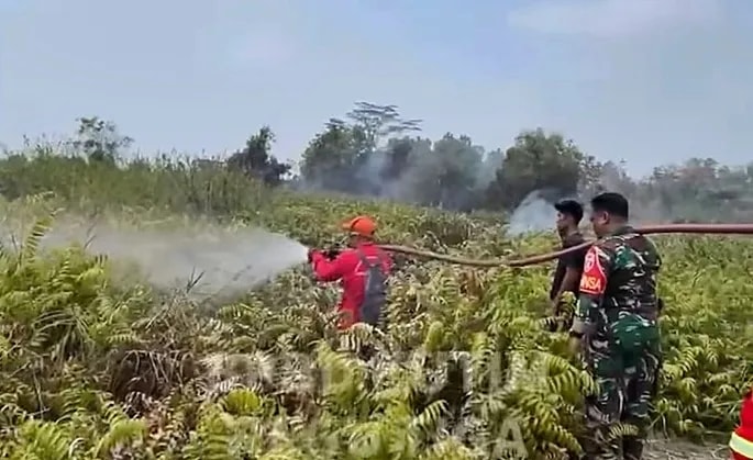Karhutla di Kutim, Relawan Minta APD dan Dukungan Medis