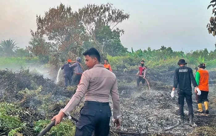 Kebakaran Lahan Kutim 68,3 Hektare, Pola Pembakaran Terlacak