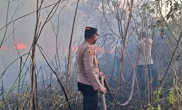 Karhutla Kaltim Hanguskan 456 Hektare Lahan, 9 Orang Ditangkap