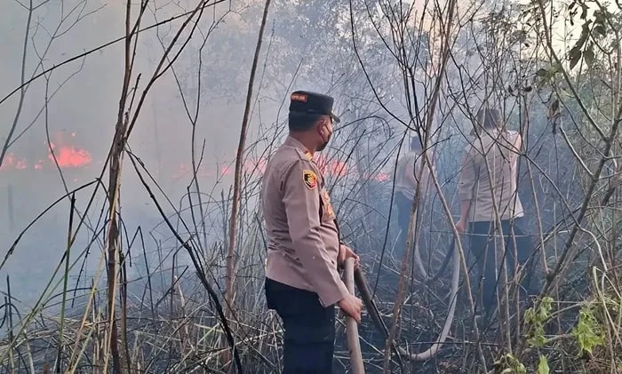 Karhutla Kaltim Hanguskan 456 Hektare Lahan, 9 Orang Ditangkap
