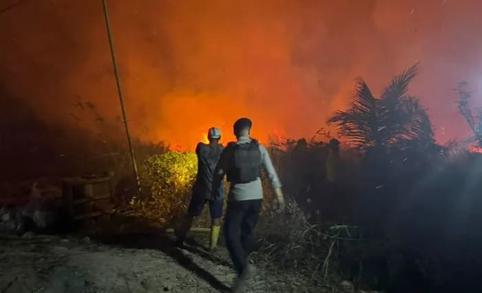 194 Hektare Lahan Samarinda Terbakar, Warga Diminta Bermasker