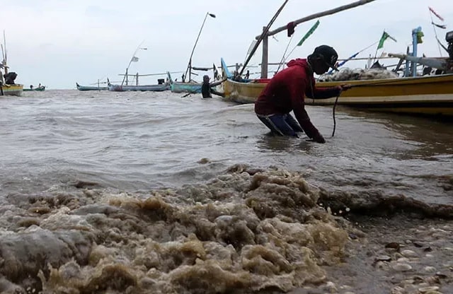 Air Laut Naik 2,9 Meter, Warga Pesisir Kaltim Diminta Siaga Banjir Rob