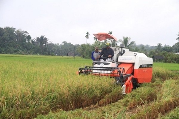 Pemkab Kutai Kartanegara Kembangkan Pertanian Modern demi Ketahanan Pangan