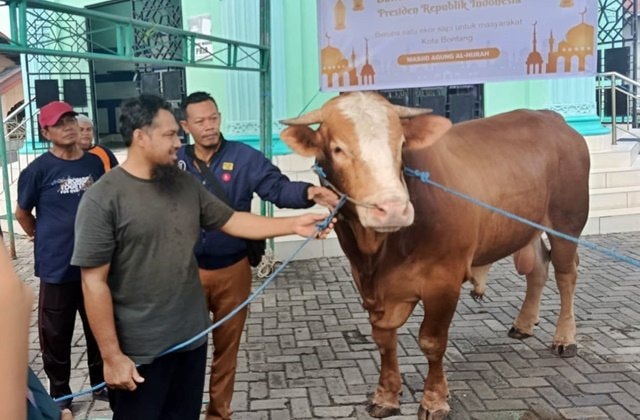 Kurban Melonjak di Masjid Agung Al-Hijrah Bontang, Kini Disembelih di Area Masjid