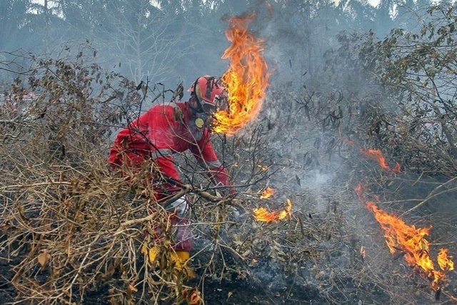 BMKG Deteksi 40 Titik Panas di Kutai Kartanegara