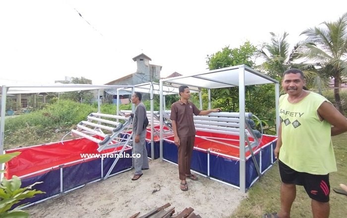 Warga RT 8 Bontang Kuala Bikin Kolam Lele dan Pertanian Hidroponik Buat Kas RT