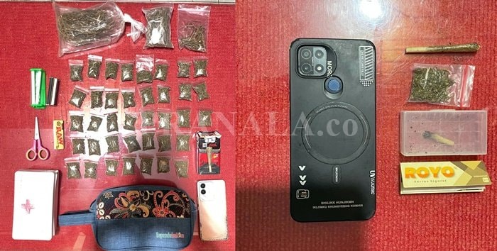 Dari Kukar hingga Samarinda, Polisi Bongkar Peredaran Ganja 3 Kg, Lima Orang Diamankan