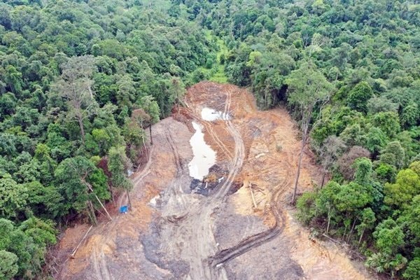 Tambang Ilegal Serobot Hutan Pendidikan Unmul Picu Banjir di Samarinda