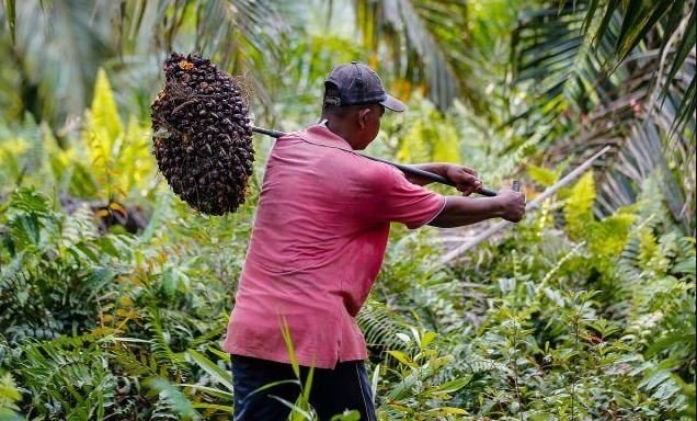 Ekonomi Kaltim Diperkirakan Terus Membaik di Kuartal III/2021