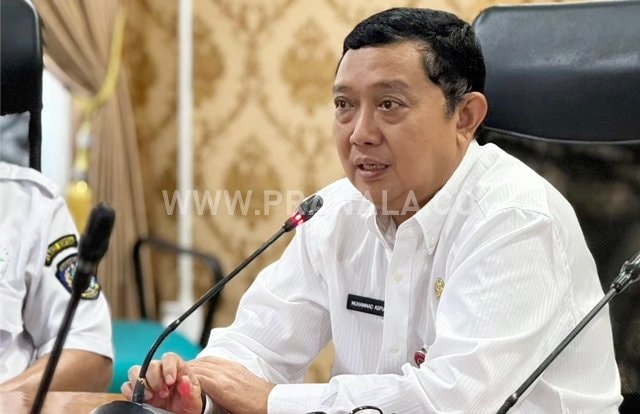 Investasi di Bontang Serap 317 Pekerja, Didominasi Modal Lokal dan Iklim Usaha Kondusif