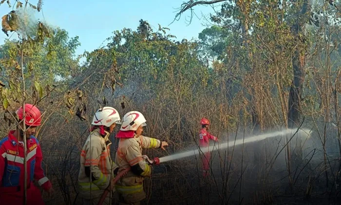 Kebakaran lahan Bontang Lestari berhasil dipadamkan Damkar sebelum menyambar kabel PLN. Petugas adang angin kencang demi amankan warga