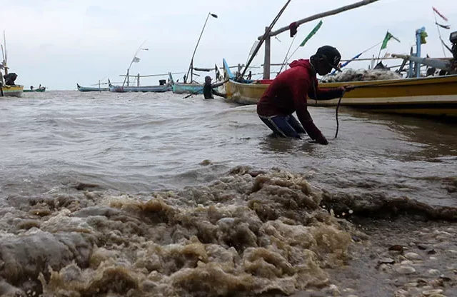 Air Laut Naik 2,9 Meter, Warga Pesisir Kaltim Diminta Siaga Banjir Rob