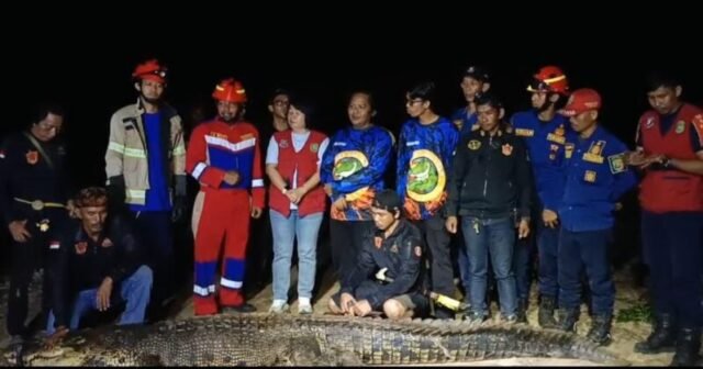 Serangan Buaya Makin Sering di Kutim, Tiga Lokasi Penangkaran Mulai Dikaji