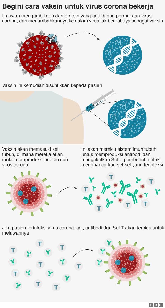 vaksin corona