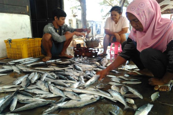 Bukan Hanya Industri, Ini Bukti Pertanian dan Perikanan Bontang Melesat di 2024