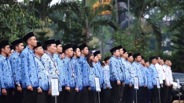 Berikut Daftar Honorer yang Tak Masuk Pendataan Non-PNS