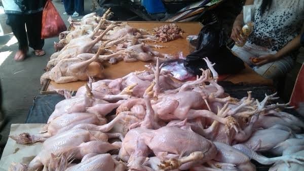 Harga Daging Ayam di Balikpapan Tak Wajar