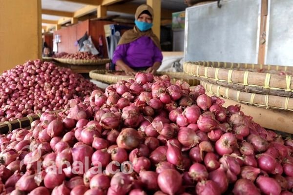 Inflasi Samarinda Terkendali di Angka 2,16 Persen, Operasi Pasar dan Produksi Pangan Lokal Diperkuat