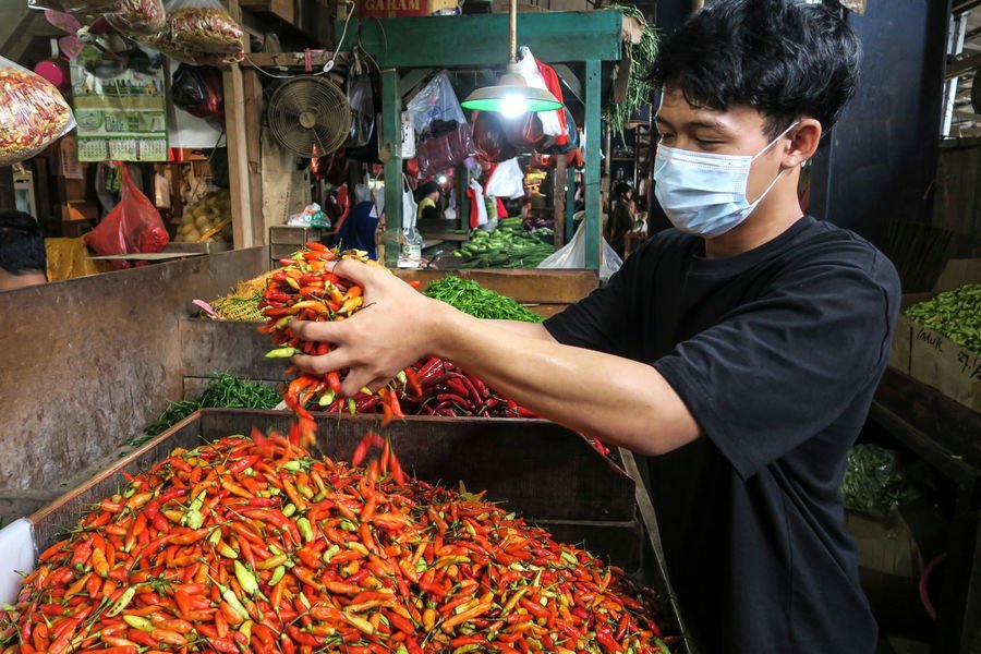 Cuaca Ekstrem Bikin Harga Cabai Melambung