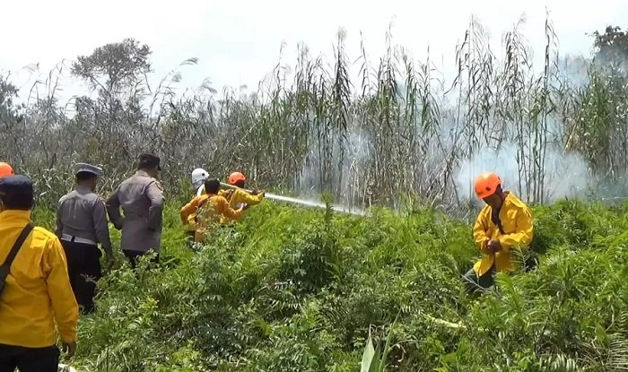 171 Titik Panas Terdeteksi di Kaltim, Kutim jadi Wilayah Terparah