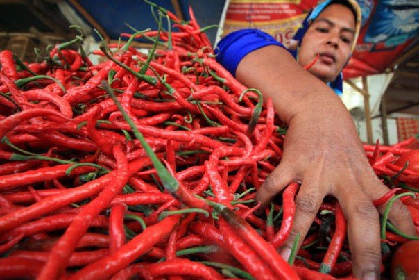 Inflasi Kalimantan Timur Tertinggi Kurun Empat Tahun Terakhir