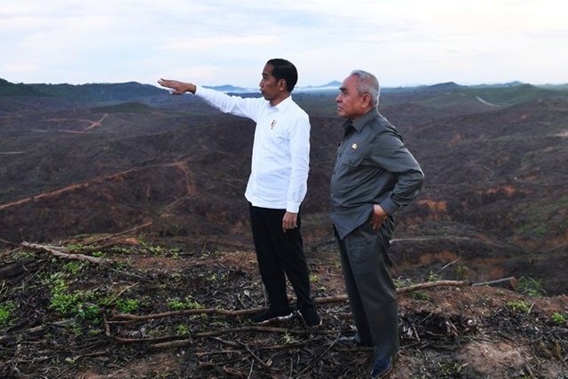 Presiden Pastikan Pembangunan IKN di Kaltim Tak Rusak Hutan