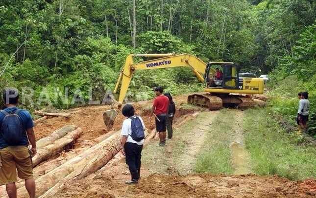 Jalan Rusak, Penjaga Hutan Adat Wehea Kutim Minta Uluran Tangan Pemerintah