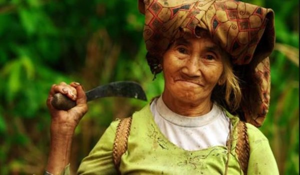 Kaltim Masih Nikmati Bonus Demografi, tetapi Tanda Penduduk Menua Mulai Terlihat