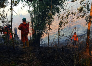 Persiapkan Hujan Buatan Kendalikan Kebakaran Lahan di Kaltim