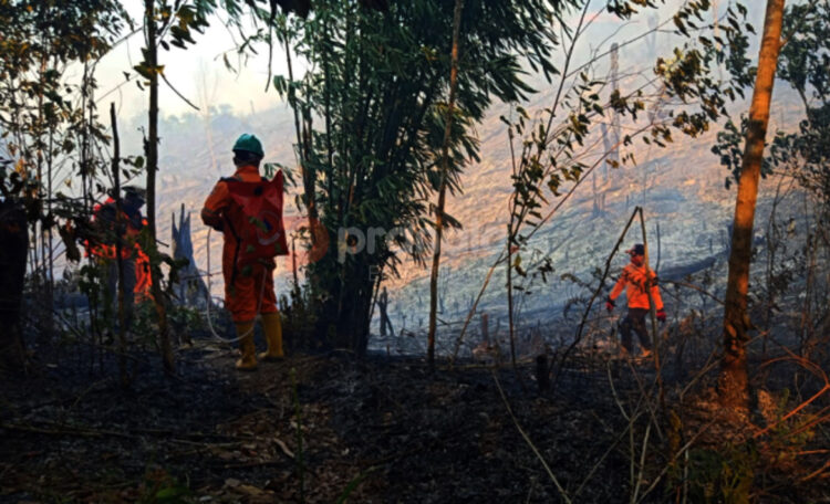 Persiapkan Hujan Buatan Kendalikan Kebakaran Lahan di Kaltim